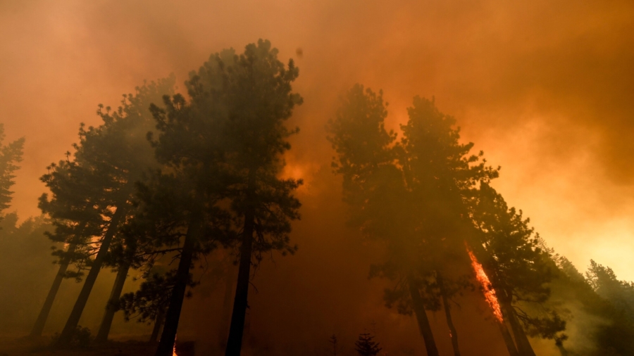 Former Professor Indicted for Setting California Fires: DOJ