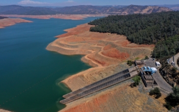 California Hydropower Plant Forced to Shut Down as Water Levels Fall at Lake Oroville