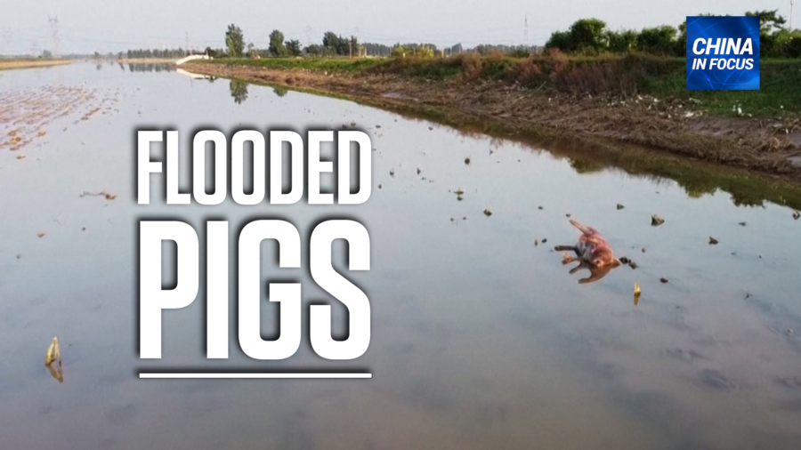 Flooded County Asks for Disinfectant Donations