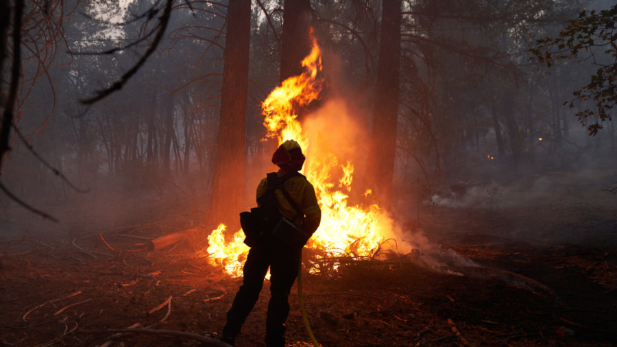 California May See Above Average Fire Season