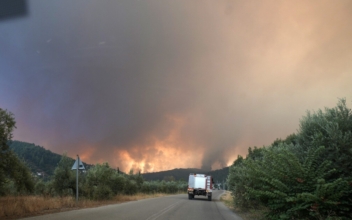 Blaze Ravages Evia Island on Sixth Day of Greek Wildfires