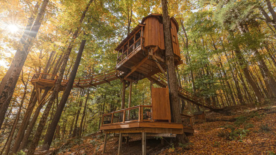Treehouses Trending with Travelers in the US