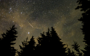 Perseid Meteor Showers Are Set to Be a Showstopper Celestial Event