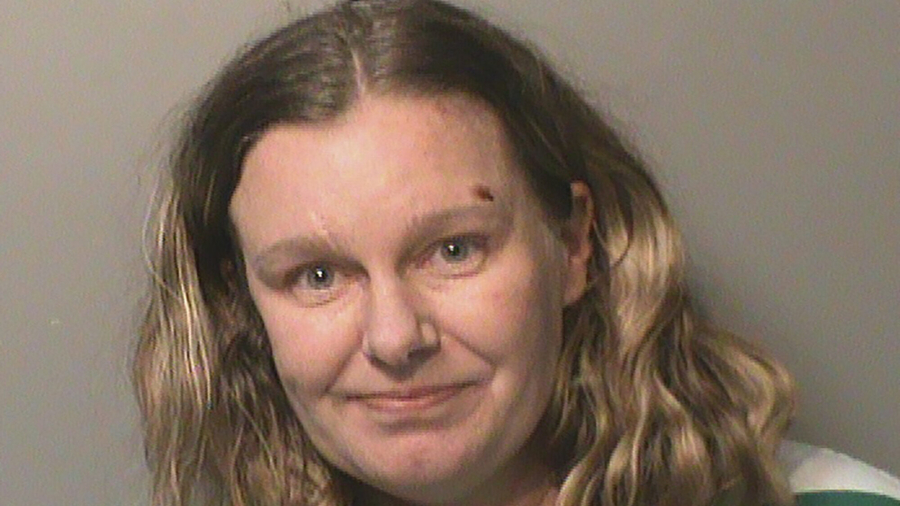Iowa Woman Sentenced to 25 Years in Hate Attacks on 2 Children