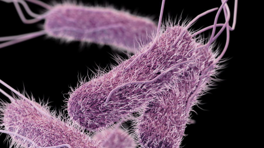 Salmonella Outbreaks Under Investigation by CDC, Possibly Linked to Italian-Style Meats