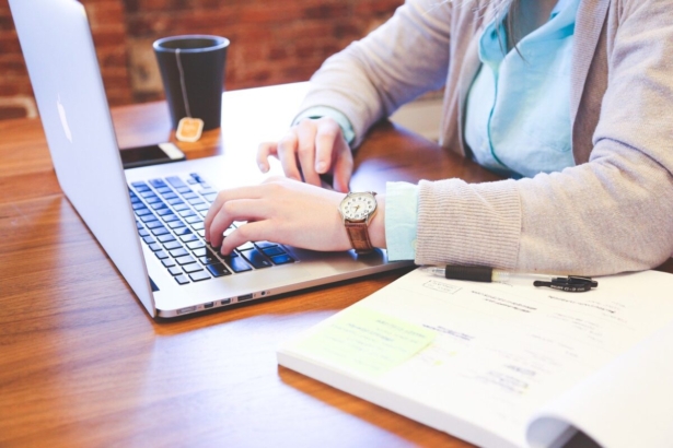 A person using a laptop. (StartupStockPhotos/Pixabay)