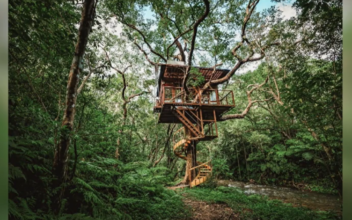 Treeful Treehouse Resort: Eco-Luxury in Japan