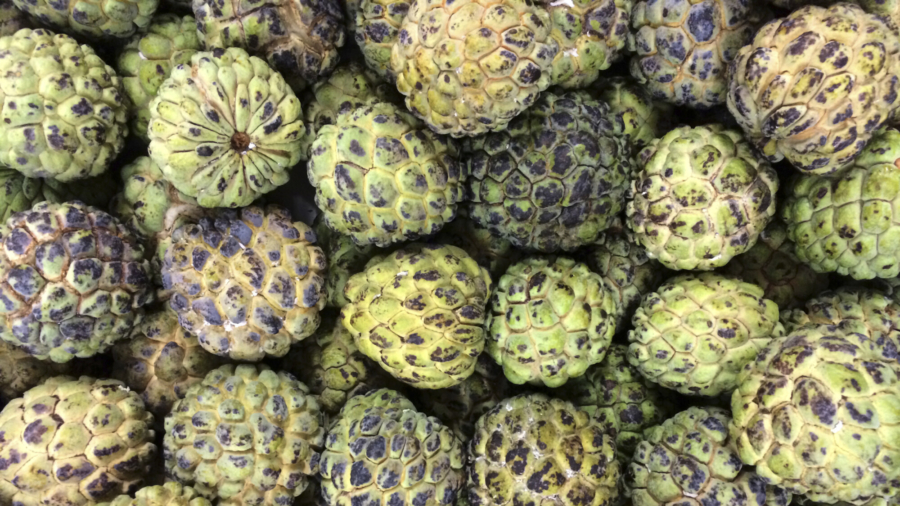 Taiwan Campaigns Against China's Import Ban