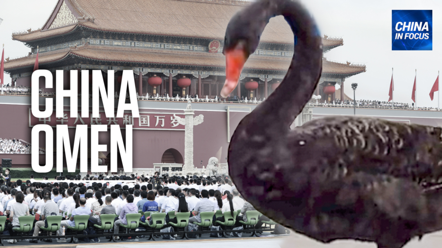 Black Swan Visits Beijing's Tiananmen Square