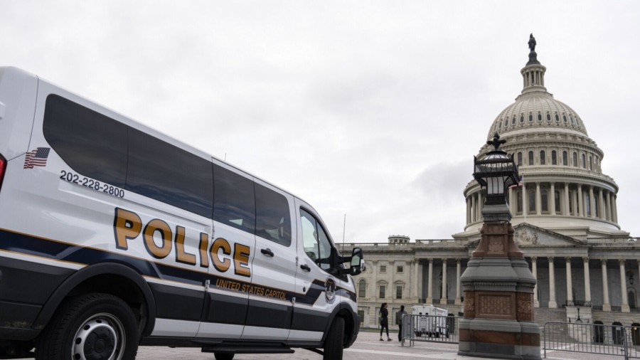 Pentagon: National Guard Deployed Capitol Police for Saturday Rally