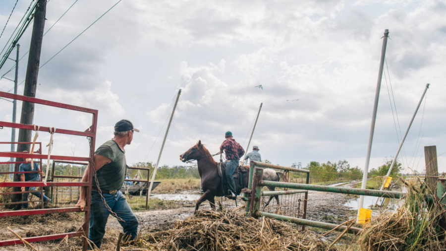 Louisiana Locals Help Each Other After Ida