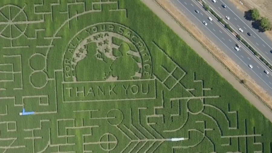California Corn Maze Honors Military