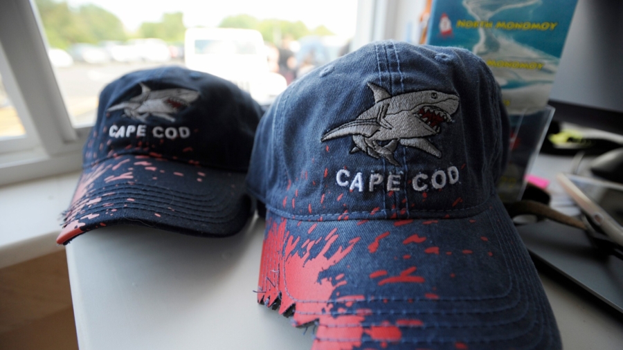 Cape Cod Warms Up to Shark Tourism