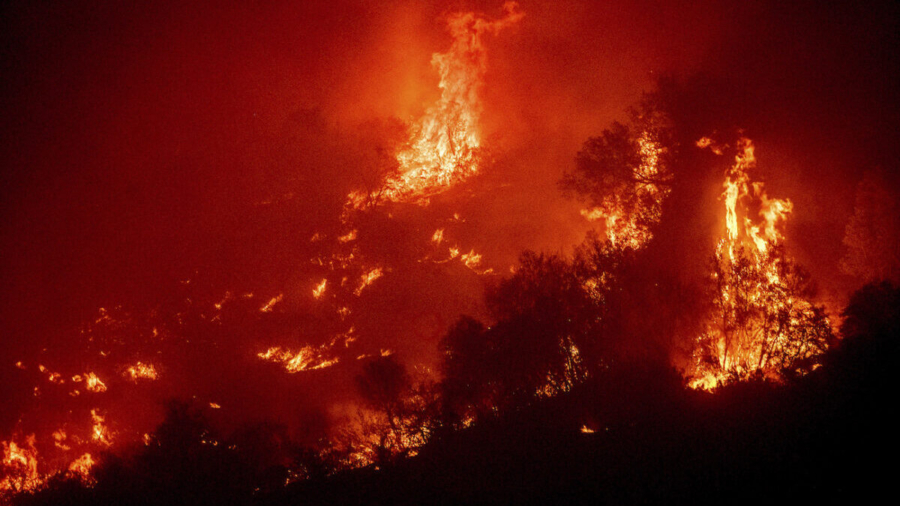 California Wildfires Threaten Old-Growth Sequoias in Sierra Nevada