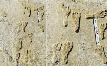 Oldest Human Footprints in North America Found in New Mexico