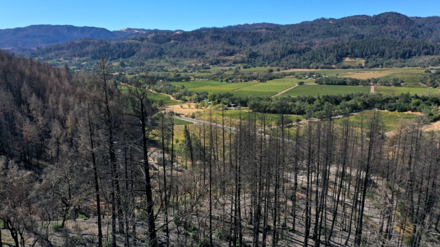 Fire Captain: Retired Local Firefighters Not Utilized in California