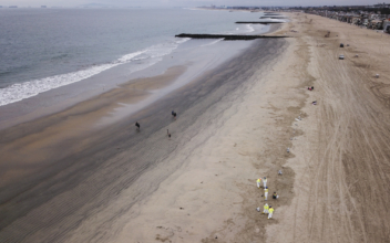 Investigation on California Coastal Oil Spill