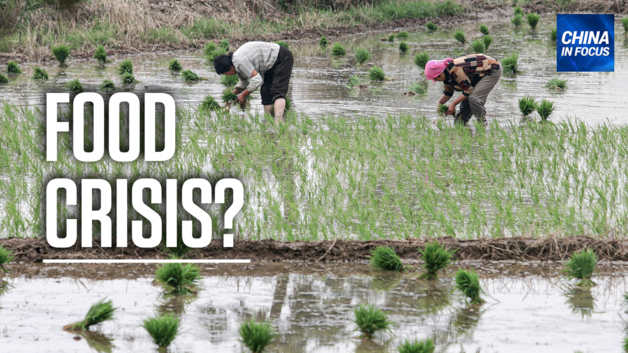 China Plays Down Impacts on Grain Output