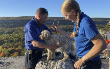 Pooch Trapped in Crevice 5 Days Rescued, Unharmed