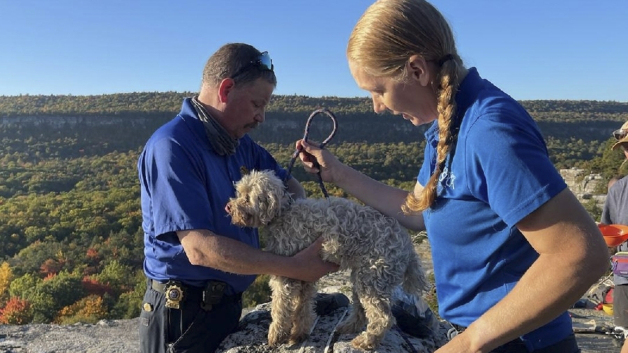 Pooch Trapped in Crevice 5 Days Rescued, Unharmed