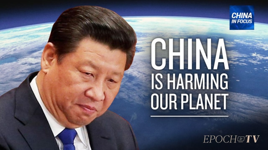 Examining Beijing's Role in Environmental Damages