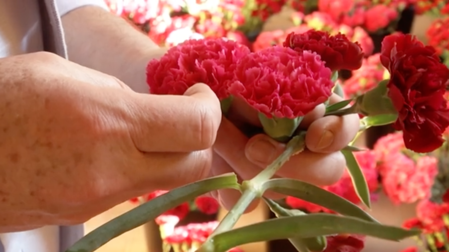 Floral Installation Honors Pandemic Dead