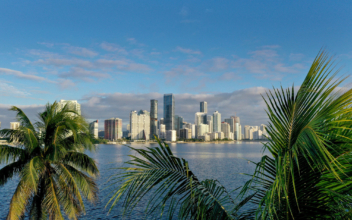 Sunny Days for Tech: Startups Drawn to Miami’s Emerging Venture Ecosystem
