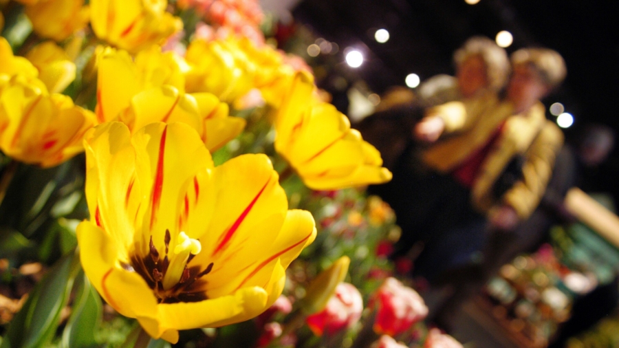 Philadelphia Flower Show Goes Outdoors