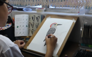 Teenager Illustrates, Photographs Bird Guide