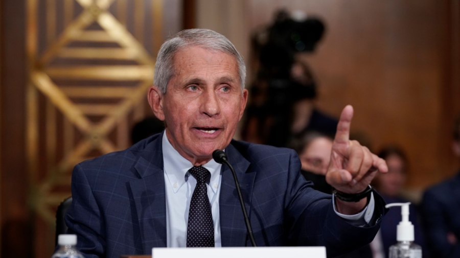 Fauci: ‘Too Soon to Tell’ If Americans Can Get Together for Christmas