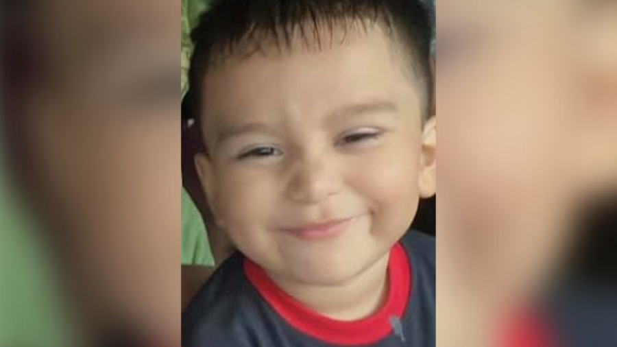 Toddler Missing for 3 Days Found Safe in Woods
