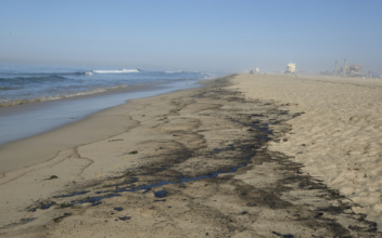 Major Oil Spill Off Southern California Fouls Beaches