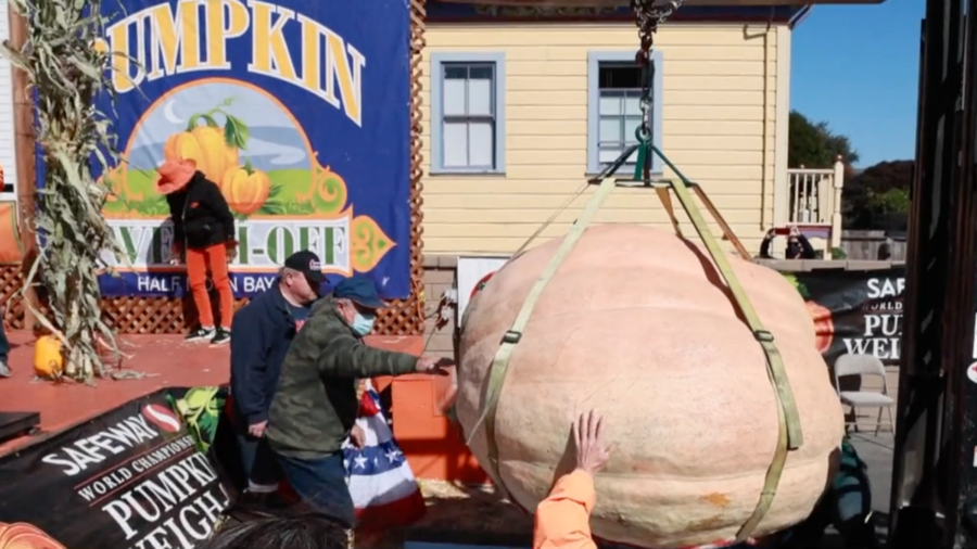 California Half Moon Bay 48th Pumpkin Weigh-Off