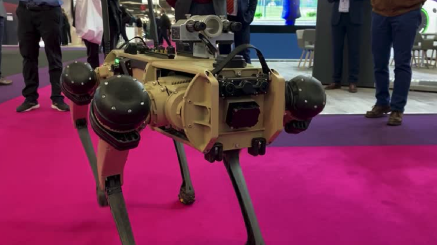 Military Robot Dog Performs at Defense Fair
