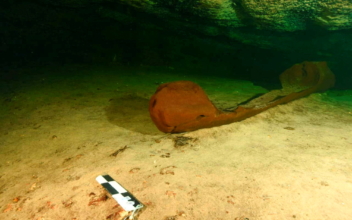 Intact Ancient Maya Canoe Found in Mexico