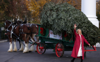 First Lady Receives White House Christmas Tree