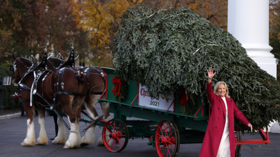 First Lady Receives White House Christmas Tree