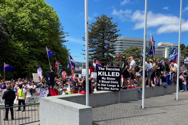 Protesters rally against COVID-19-related restrictions and vaccine mandates in Wellington, New Zealand, on Nov. 9, 2021. (Praveen Menon/Reuters)