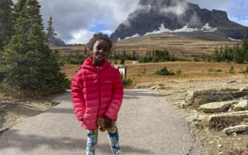 Teddy Bear Lost in Glacier Park Returned to 6-Year-Old Girl