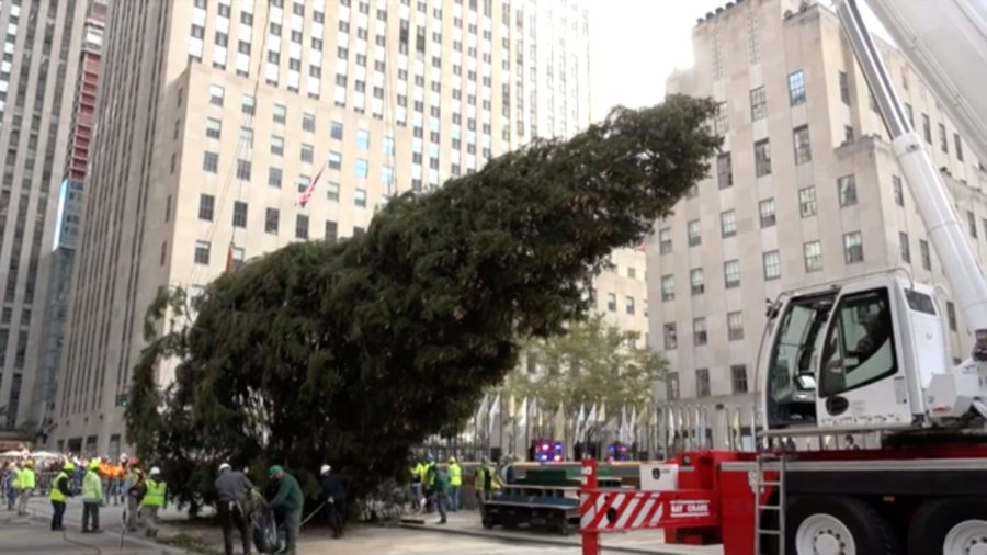 Christmas Tree Arrives at Rockefeller