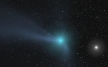 Look up to See Bright Comet Leonard This Month Before It Vanishes Forever