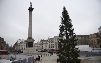 Norway ‘Threadbare’ Christmas Tree to London