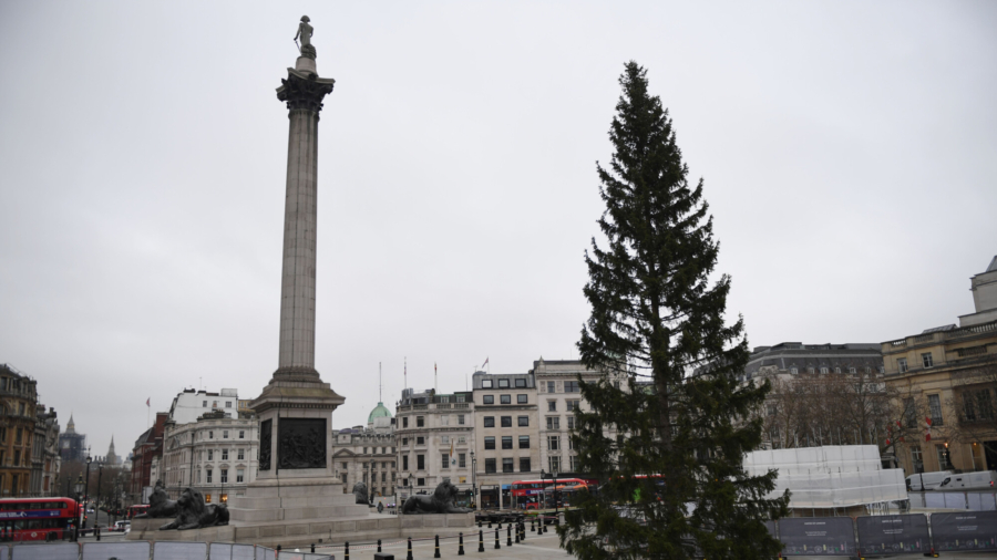 Norway 'Threadbare' Christmas Tree to London