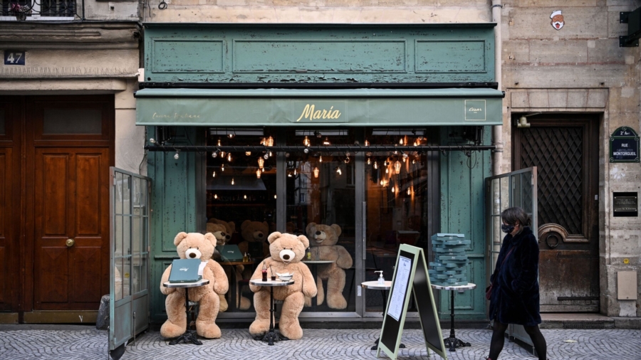Teddy Bears Prepare for Christmas in Paris