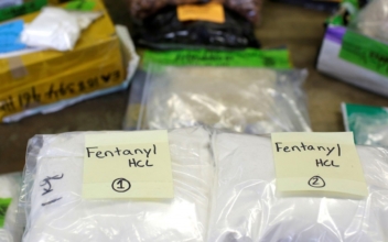 Dealers With 5 Pounds Fentanyl Released, No Bail