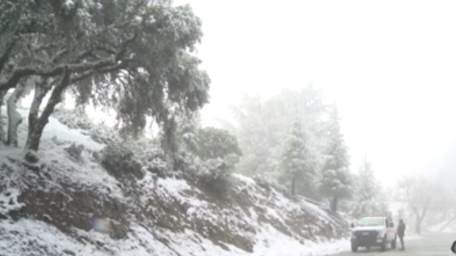 Early Snow in California Bay Area Mountain
