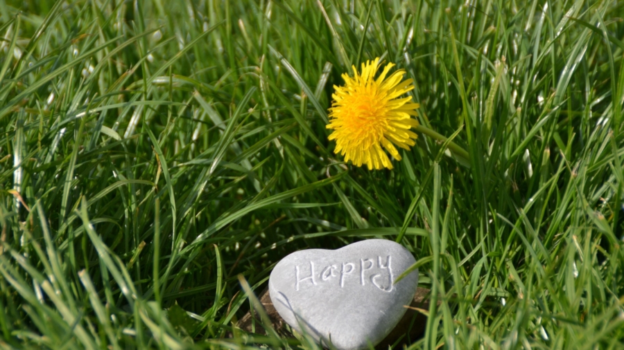 Why a Life of Gratitude Brings Happiness