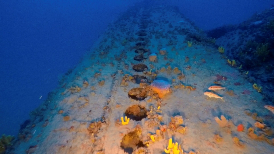Greek Divers Discover Italian World War Two Submarine Wreck