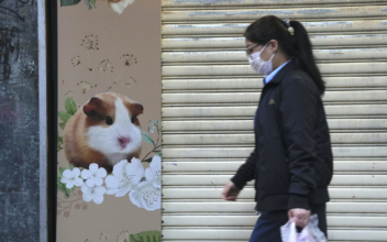 Hong Kong Culls Hamsters Amid COVID-19 Scare