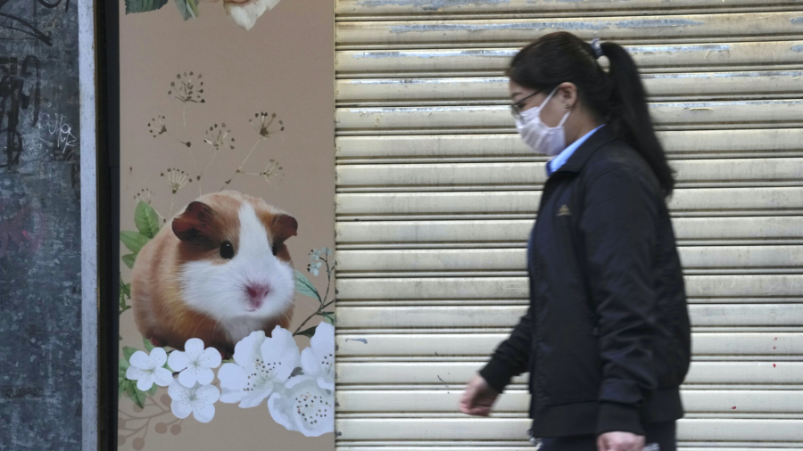 Hong Kong Culls Hamsters Amid COVID-19 Scare